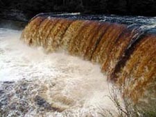 Tahquamenon Falls Tour Bus