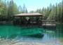 Michigan's largest natural freshwater spring.